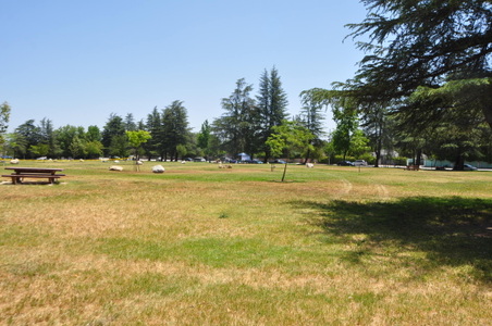 Enlarge photo 28