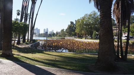 Enlarge photo 28
