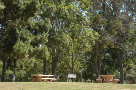 Enlarge photo 11