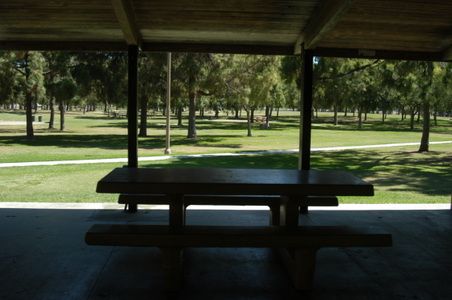 Enlarge photo 24