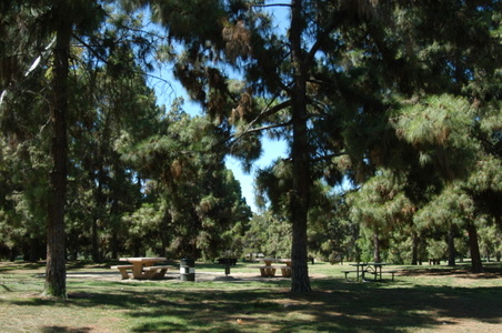 Enlarge photo 27