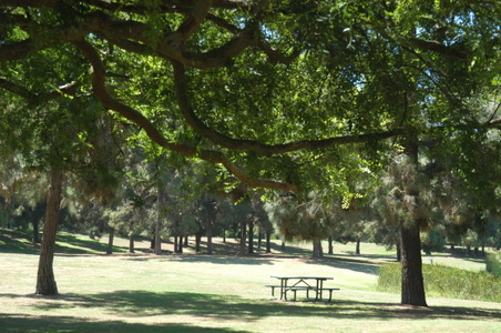 Enlarge photo 30