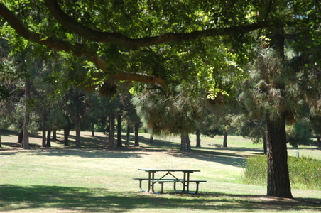 Enlarge photo 32