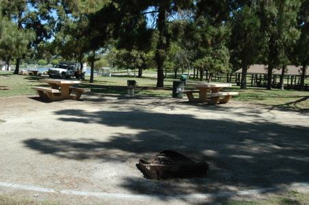 Enlarge photo 31