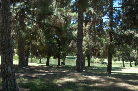 Enlarge photo 33