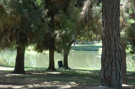Enlarge photo 34