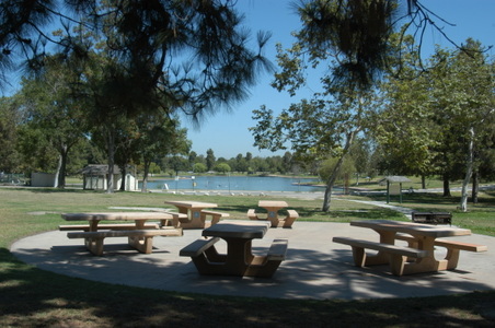 Enlarge photo 35