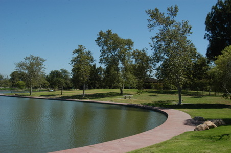 Enlarge photo 41