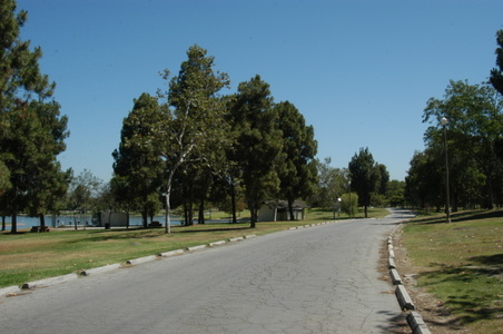 Enlarge photo 42