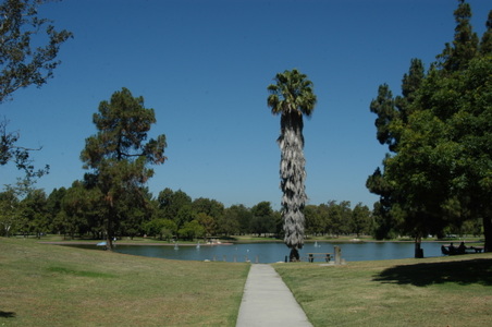 Enlarge photo 45