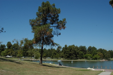 Enlarge photo 46