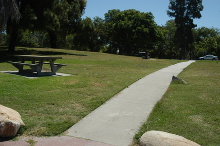 Enlarge photo 49