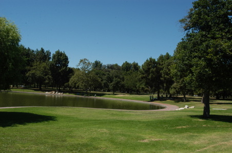 Enlarge photo 51