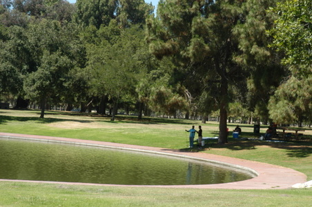 Enlarge photo 52