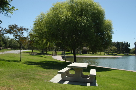 Enlarge photo 53