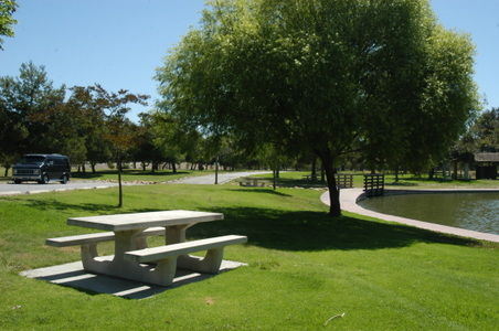 Enlarge photo 54