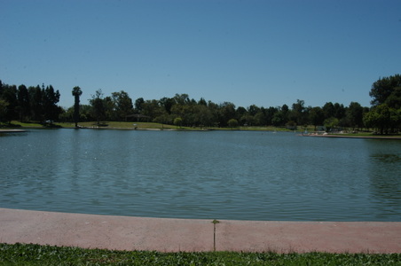 Enlarge photo 55