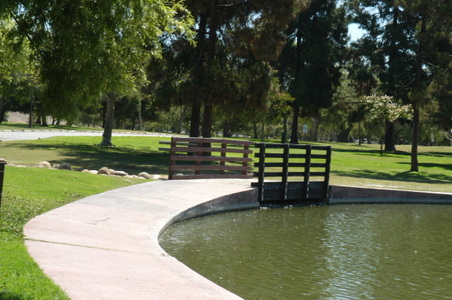 Enlarge photo 56