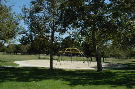Enlarge photo 67