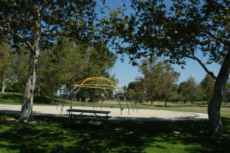 Enlarge photo 70