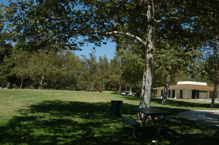Enlarge photo 72