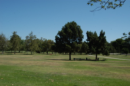 Enlarge photo 74