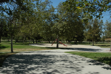 Enlarge photo 77