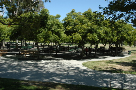 Enlarge photo 79