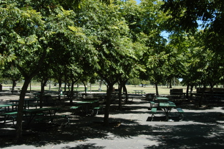 Enlarge photo 80