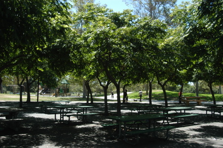 Enlarge photo 81