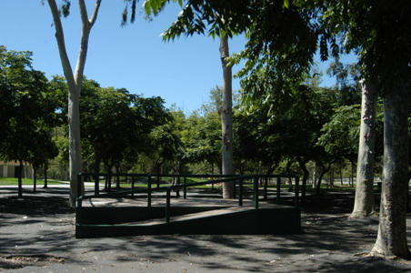 Enlarge photo 82