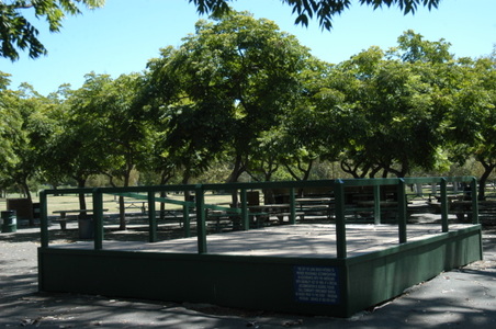 Enlarge photo 84