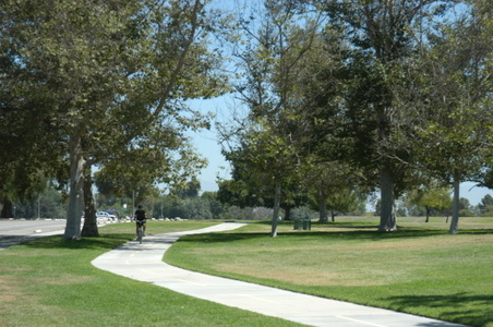 Enlarge photo 85
