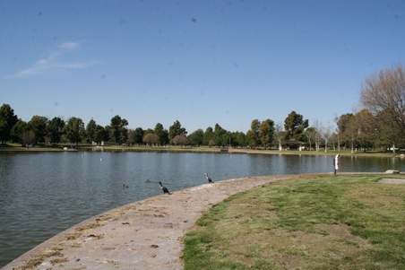 Enlarge photo 11
