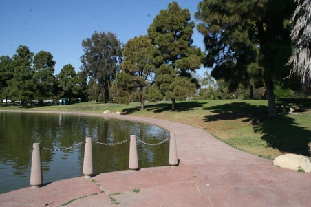 Enlarge photo 14