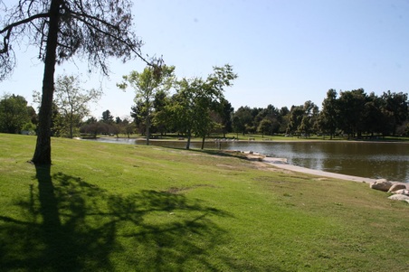 Enlarge photo 15