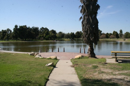 Enlarge photo 16