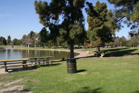 Enlarge photo 17