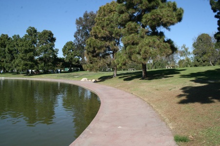 Enlarge photo 19