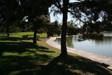 Enlarge photo 18