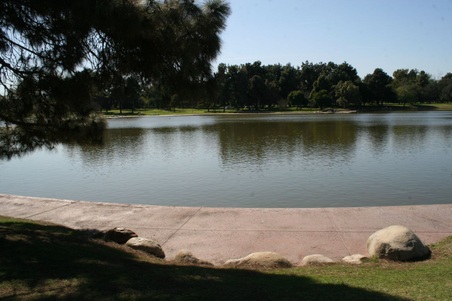 Enlarge photo 20