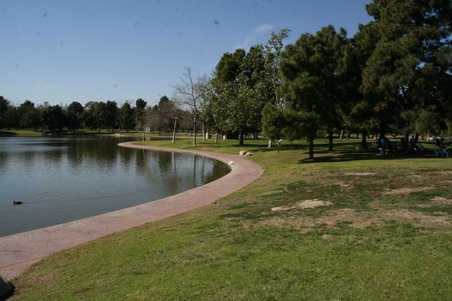 Enlarge photo 22