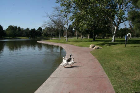 Enlarge photo 21