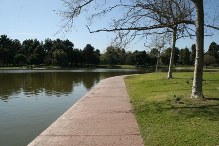 Enlarge photo 23