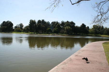 Enlarge photo 26
