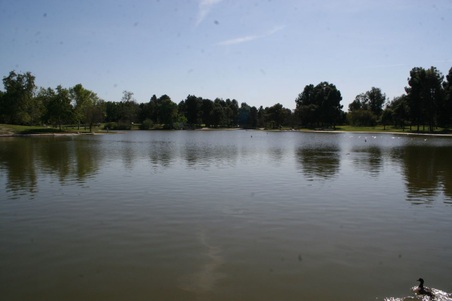 Enlarge photo 24