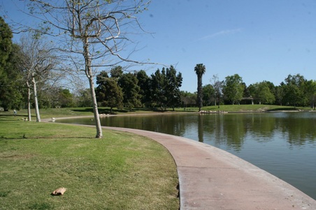 Enlarge photo 27