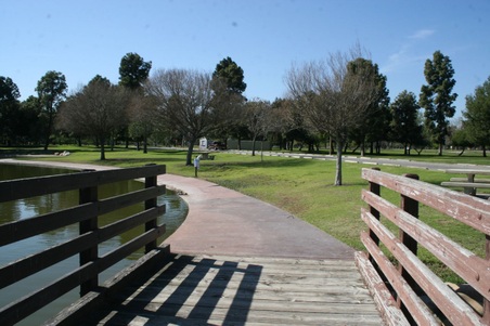 Enlarge photo 30