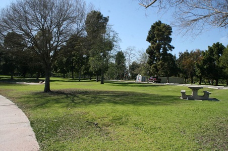 Enlarge photo 32