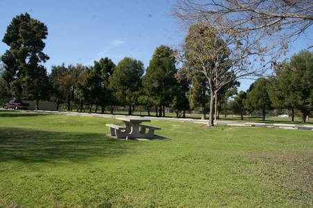 Enlarge photo 33
